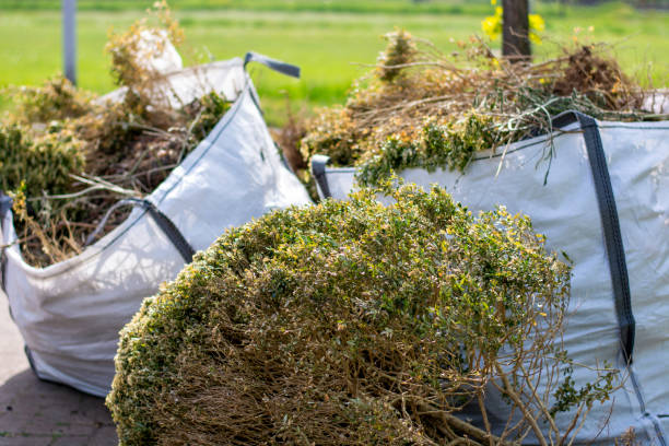 Best Residential Junk Removal  in Greenbriar, FL